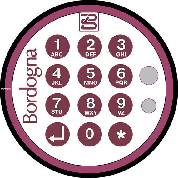 Замок Bordogna E200